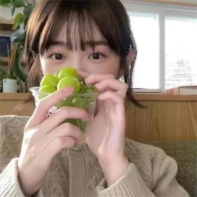 少年自当扶摇上